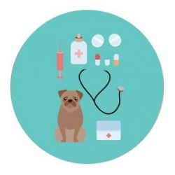 Step 2
Understand the diagnosis and drug treatment for your pet
