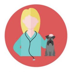 Step 1
Consult with your veterinarian
